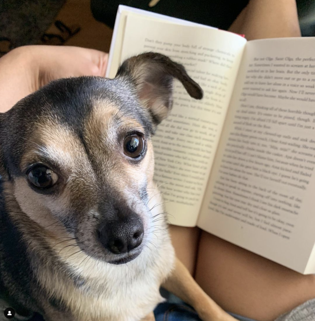 Photo of my dog and I reading :) 